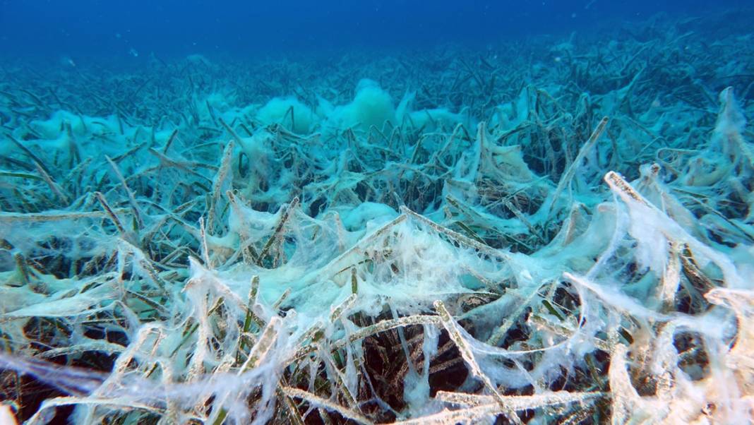 İstanbul'da bu semtleri terk edin! Uzman isim tarih verdi: Felaket üstüne felaket! 7